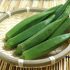 大きいオクラが固い筋っぽい時の食べ方やレシピを紹介！育ちすぎたオクラに
