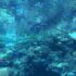 沖縄旅行を泳がないで楽しむには？2泊3日のプランをご紹介-前編-